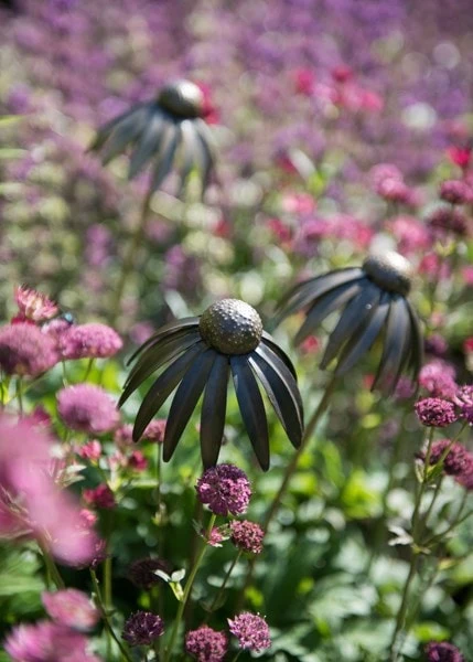 Echinacea Plant Stake - Antique Pewter 2 Echinacea Plant Stake - Antique Pewter - Image 2