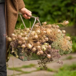 Planting Tray / Trug -Cheap Plants Store pr2000028415 card7 lg
