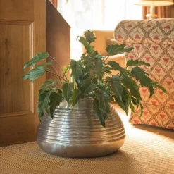 Ribbed Aluminium Pot -Cheap Plants Store pr2000028416 card3 lg