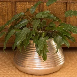 Ribbed Aluminium Pot -Cheap Plants Store pr2000028416 card4 lg