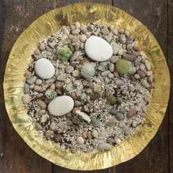 Brass Plant Bowl -Cheap Plants Store pr2000028421 card4 lg