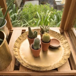 Brass Tray -Cheap Plants Store pr2000028422 card3 lg
