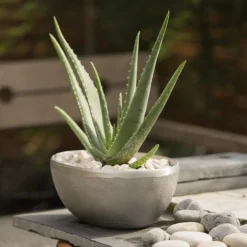 Rough Cast Aluminium Bowl -Cheap Plants Store pr2000028424 card8 lg