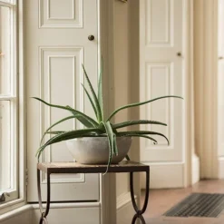 Rough Cast Aluminium Bowl -Cheap Plants Store pr2000028424 card9 lg