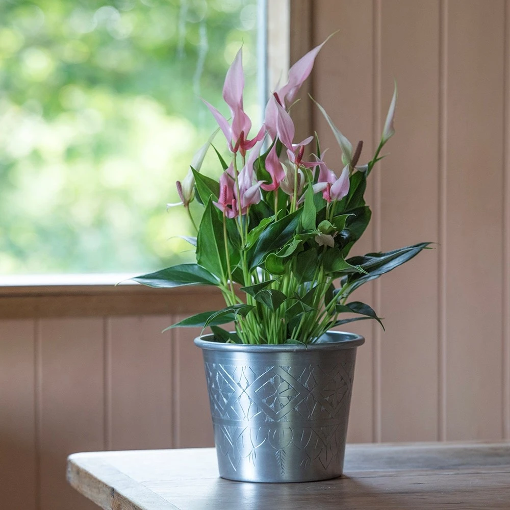Hand Etched Aluminium Planter 2 Hand Etched Aluminium Planter - Image 2