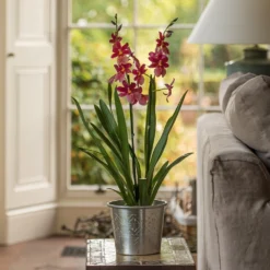 Hand Etched Aluminium Planter 14 Hand Etched Aluminium Planter -Cheap Plants Store pr2000028556 card5 lg