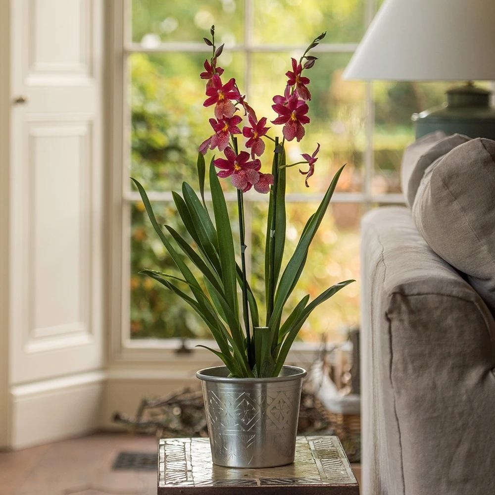 Hand Etched Aluminium Planter 5 Hand Etched Aluminium Planter - Image 5