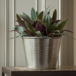 Hand Etched Aluminium Planter 15 Hand Etched Aluminium Planter -Cheap Plants Store pr2000028556 card6 lg