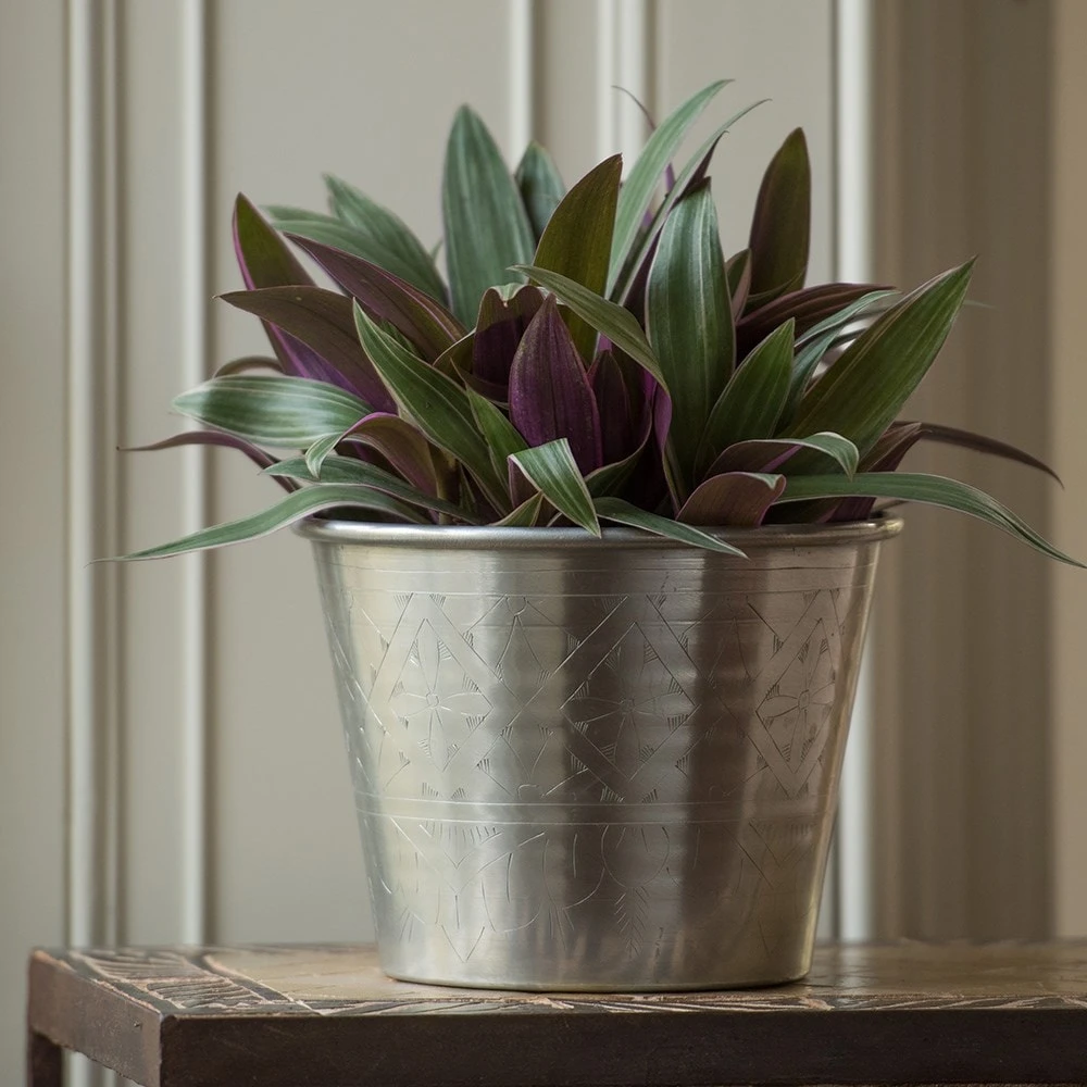 Hand Etched Aluminium Planter 6 Hand Etched Aluminium Planter - Image 6