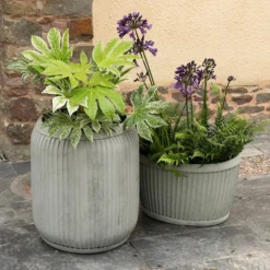 Zinc Dolly Tub Planter 12 Zinc Dolly Tub Planter -Cheap Plants Store pr2000028721 card6 lg