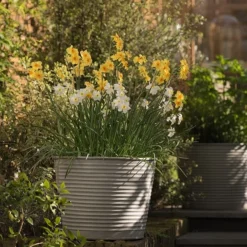 Ribbed Zinc Planter -Cheap Plants Store pr2000028781 card3 lg