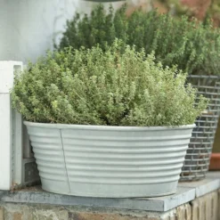 Ribbed Zinc Planter -Cheap Plants Store pr2000028781 card8 lg