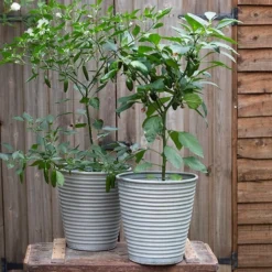 Ribbed Zinc Planter -Cheap Plants Store pr2000028781 card9 lg