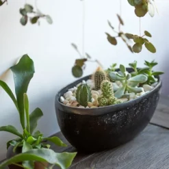 Rough Cast Aluminium Bowl - Charcoal Black -Cheap Plants Store pr2000028887 card3 lg