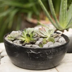 Rough Cast Aluminium Bowl - Charcoal Black -Cheap Plants Store pr2000028887 card8 lg