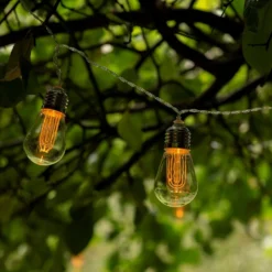 Edison Style Bulb LED Light String -Cheap Plants Store pr2000029221 card4 lg
