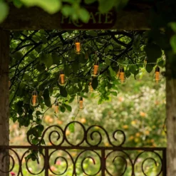 Edison Style Bulb LED Light String -Cheap Plants Store pr2000029221 card5 lg