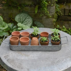 Terracotta Grow Pots - Set Of 10 With Tray 11 Terracotta Grow Pots - Set Of 10 With Tray -Cheap Plants Store pr2000029288 card3 lg