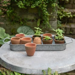 Terracotta Grow Pots - Set Of 10 With Tray 12 Terracotta Grow Pots - Set Of 10 With Tray -Cheap Plants Store pr2000029288 card4 lg
