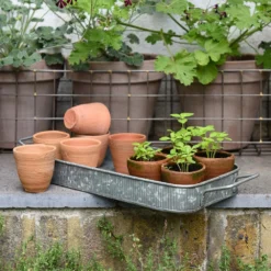 Terracotta Grow Pots - Set Of 10 With Tray 13 Terracotta Grow Pots - Set Of 10 With Tray -Cheap Plants Store pr2000029288 card5 lg