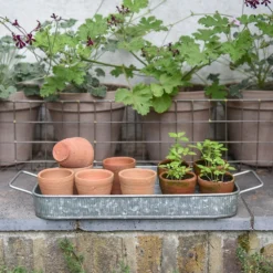 Terracotta Grow Pots - Set Of 10 With Tray 14 Terracotta Grow Pots - Set Of 10 With Tray -Cheap Plants Store pr2000029288 card6 lg