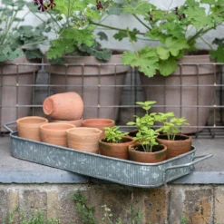 Terracotta Grow Pots - Set Of 10 With Tray 15 Terracotta Grow Pots - Set Of 10 With Tray -Cheap Plants Store pr2000029288 card7 lg