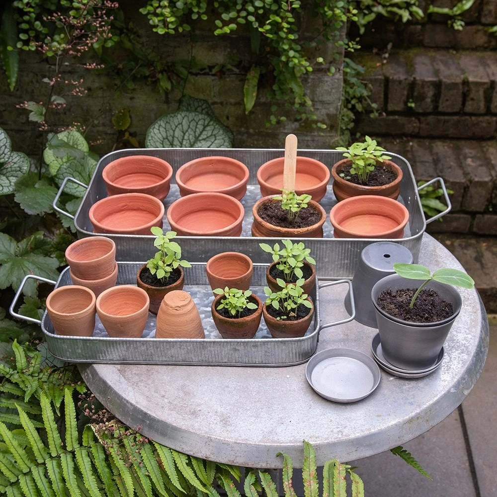 Terracotta Grow Pots - Set Of 10 With Tray 8 Terracotta Grow Pots - Set Of 10 With Tray - Image 8
