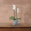 Recycled Glass Flared Orchid Pot - Charcoal