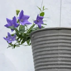 Hanging Aged Ribbed Planter -Cheap Plants Store pr2000031414 card3 lg