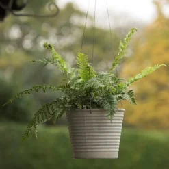 Hanging Aged Ribbed Planter -Cheap Plants Store pr2000031414 card5 lg