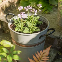 Planter With Copper Belt And Tray -Cheap Plants Store pr2000031454 card3 lg