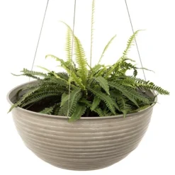 Hanging Aged Ribbed Bowl -Cheap Plants Store pr2000031455 card3 lg