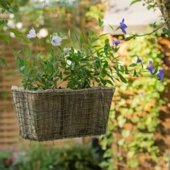 Rectangular Net Hanging Basket -Cheap Plants Store pr2000031461 card8 lg