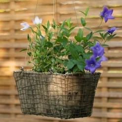 Rectangular Net Hanging Basket -Cheap Plants Store pr2000031461 card9 lg