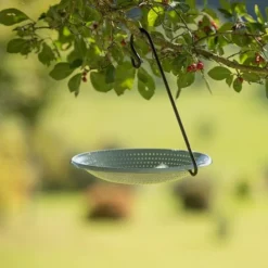 Hanging Bird Bowl Set - Crocus Green -Cheap Plants Store pr2000031470 card3 lg