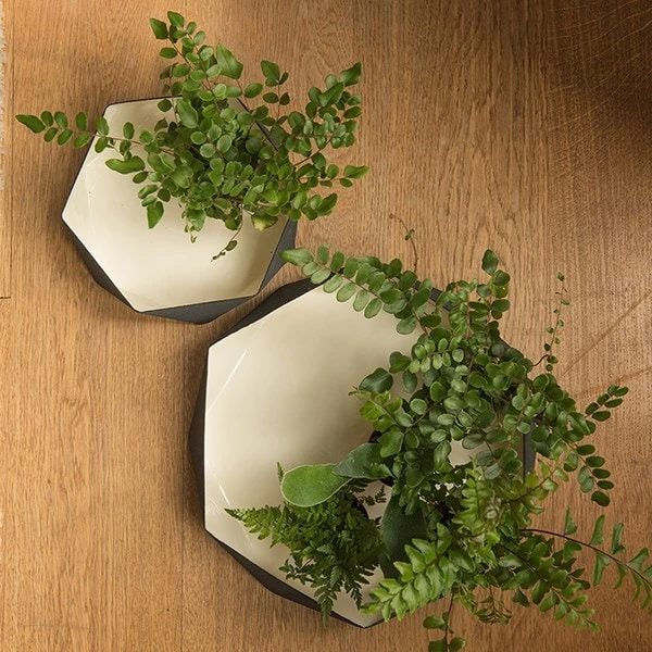 Enamelled Geo Metal Plant Tray 2 Enamelled Geo Metal Plant Tray - Image 2