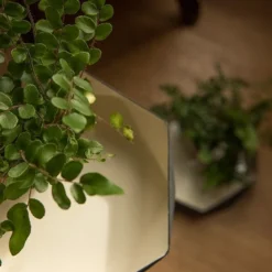 Enamelled Geo Metal Plant Tray 7 Enamelled Geo Metal Plant Tray -Cheap Plants Store pr2000031479 card3 lg