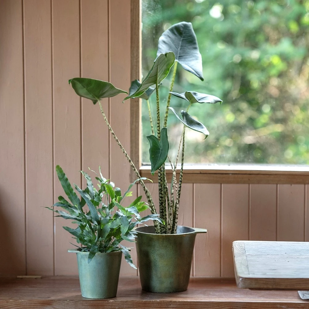 Cast Aluminium Pot Cover With Verdigris Patina 2 Cast Aluminium Pot Cover With Verdigris Patina - Image 2
