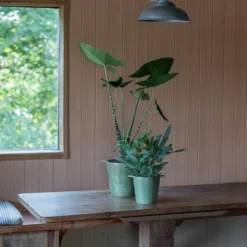 Cast Aluminium Pot Cover With Verdigris Patina 13 Cast Aluminium Pot Cover With Verdigris Patina -Cheap Plants Store pr2000031480 card5 lg