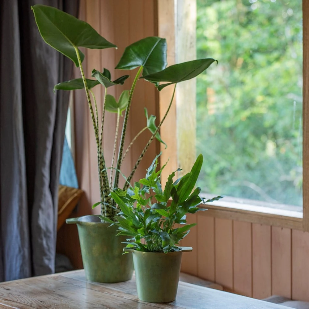 Cast Aluminium Pot Cover With Verdigris Patina 6 Cast Aluminium Pot Cover With Verdigris Patina - Image 6