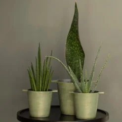 Cast Aluminium Pot Cover With Verdigris Patina 16 Cast Aluminium Pot Cover With Verdigris Patina -Cheap Plants Store pr2000031480 card8 lg