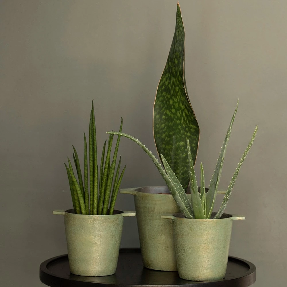 Cast Aluminium Pot Cover With Verdigris Patina 8 Cast Aluminium Pot Cover With Verdigris Patina - Image 8