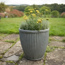Tall Antique Zinc Dolly Pot 6 Tall Antique Zinc Dolly Pot -Cheap Plants Store pr2000031491 card3 lg