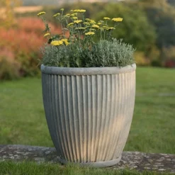 Tall Antique Zinc Dolly Pot 7 Tall Antique Zinc Dolly Pot -Cheap Plants Store pr2000031491 card4 lg