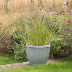 Zinc Dolly Pot 10 Zinc Dolly Pot -Cheap Plants Store pr2000031492 card3 lg