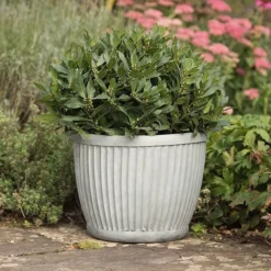 Zinc Dolly Pot 11 Zinc Dolly Pot -Cheap Plants Store pr2000031492 card4 lg