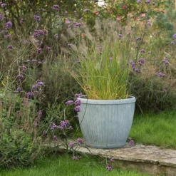 Zinc Dolly Pot 13 Zinc Dolly Pot -Cheap Plants Store pr2000031492 card6 lg