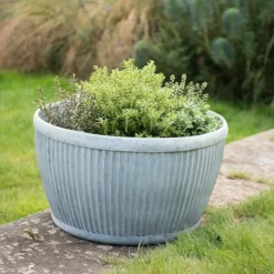 Zinc Dolly Bowl 8 Zinc Dolly Bowl -Cheap Plants Store pr2000031493 card4 lg