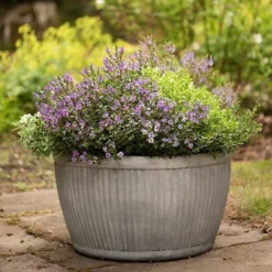 Zinc Dolly Bowl 9 Zinc Dolly Bowl -Cheap Plants Store pr2000031493 card5 lg