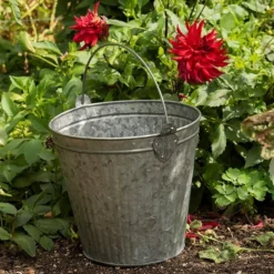 Galvanised Bucket 9 Galvanised Bucket -Cheap Plants Store pr2000031498 card4 lg